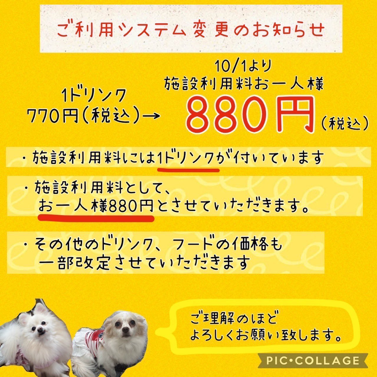 🐾お知らせ🐾2023,9,29